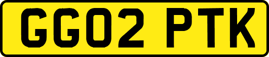 GG02PTK