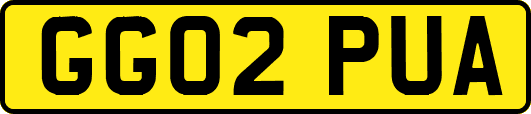 GG02PUA