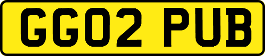 GG02PUB
