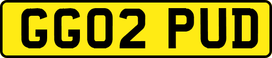 GG02PUD