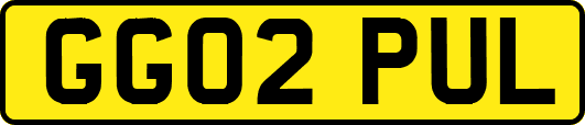 GG02PUL