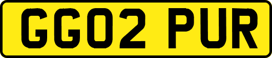 GG02PUR