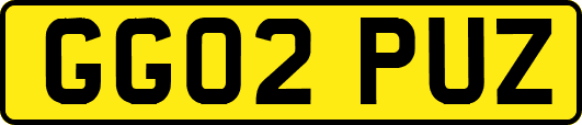 GG02PUZ