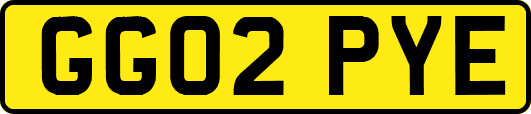 GG02PYE