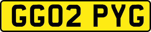 GG02PYG