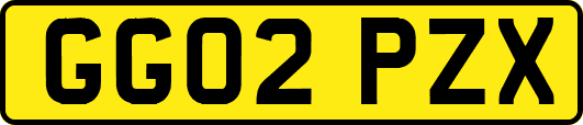 GG02PZX