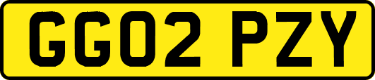 GG02PZY