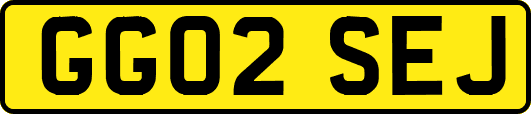 GG02SEJ