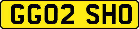 GG02SHO