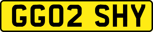 GG02SHY
