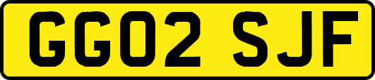 GG02SJF
