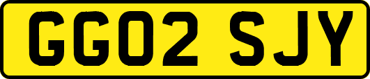 GG02SJY