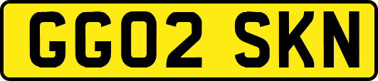 GG02SKN