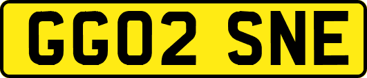 GG02SNE