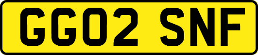 GG02SNF