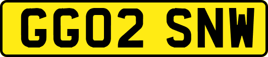 GG02SNW