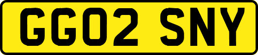 GG02SNY