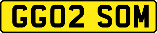 GG02SOM