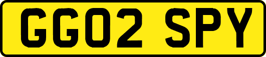 GG02SPY
