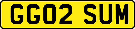 GG02SUM