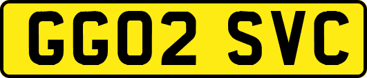GG02SVC
