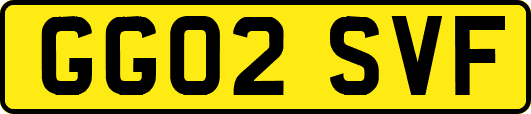 GG02SVF