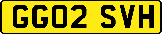 GG02SVH