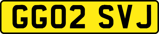 GG02SVJ