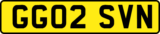 GG02SVN