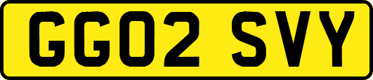 GG02SVY