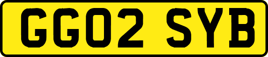 GG02SYB