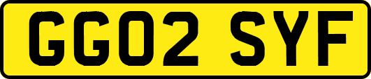 GG02SYF