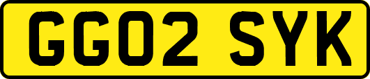 GG02SYK