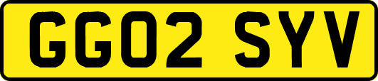 GG02SYV