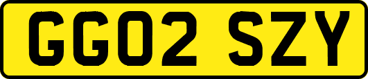 GG02SZY