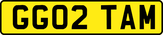GG02TAM