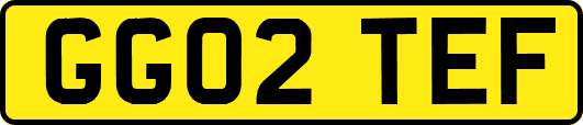 GG02TEF