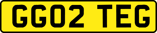 GG02TEG