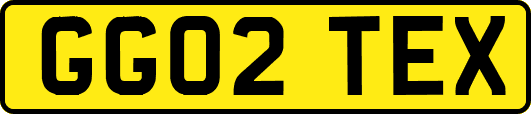 GG02TEX