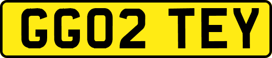 GG02TEY