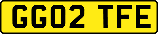 GG02TFE