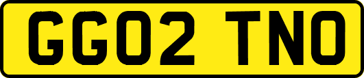 GG02TNO