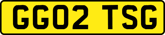 GG02TSG