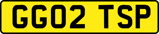 GG02TSP