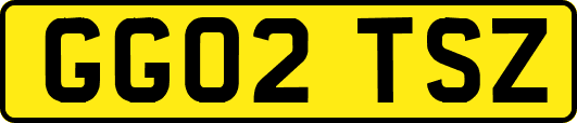 GG02TSZ