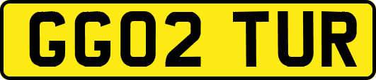 GG02TUR