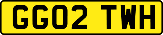GG02TWH