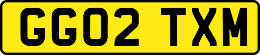 GG02TXM