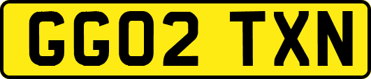 GG02TXN