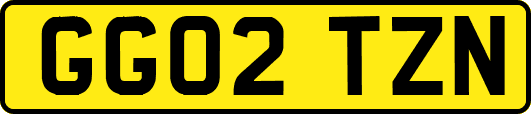 GG02TZN